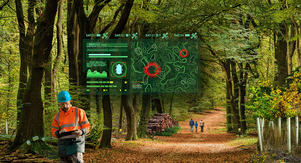 CLAIRE entwickelt Bilder der Zukunft. Hier ein Beispiel für Forstwirtschaft der Zukunft (c) UFZ.